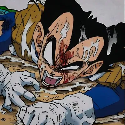 ♡︎ - Vegeta