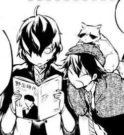 Ranpoe - BSD - Poly