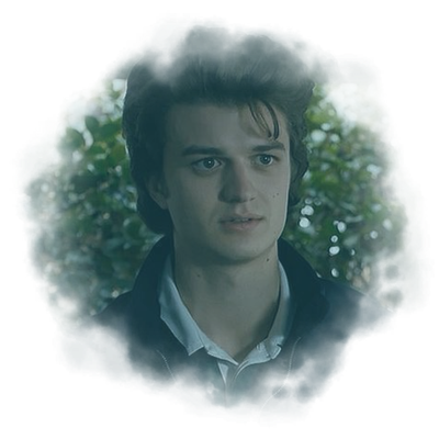 ⋮ ⌗ ┆ steve harrington