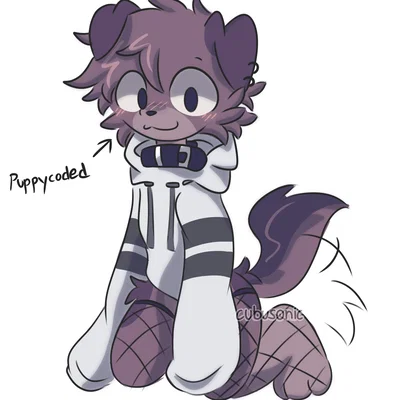 Femboy Stole Hoodie