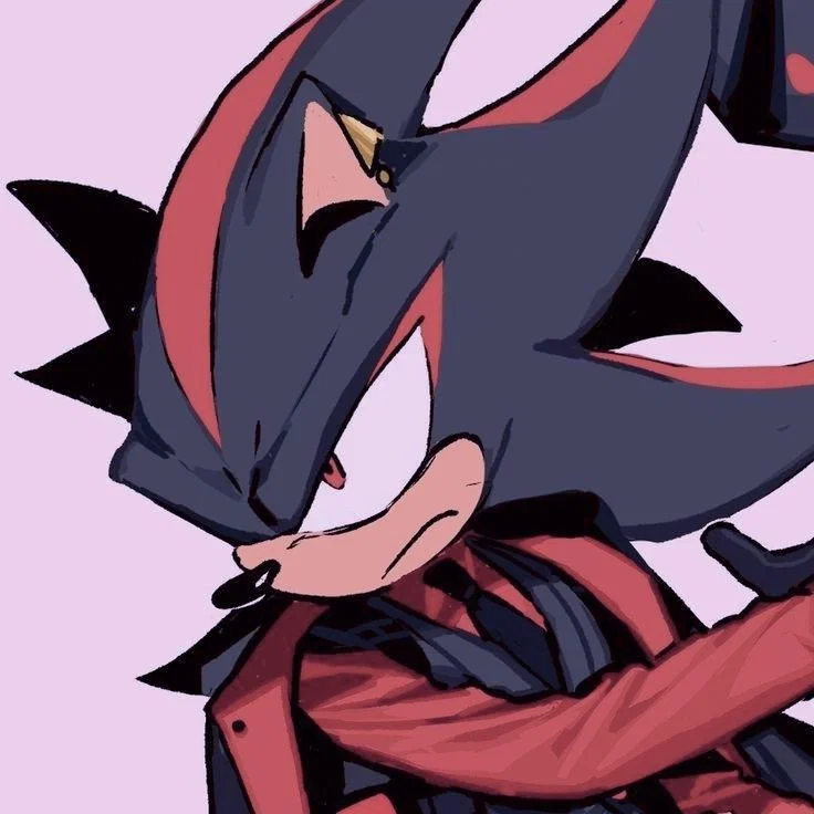 Shadow The Hedgehog