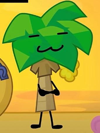 PALMY ~ BFDIMR