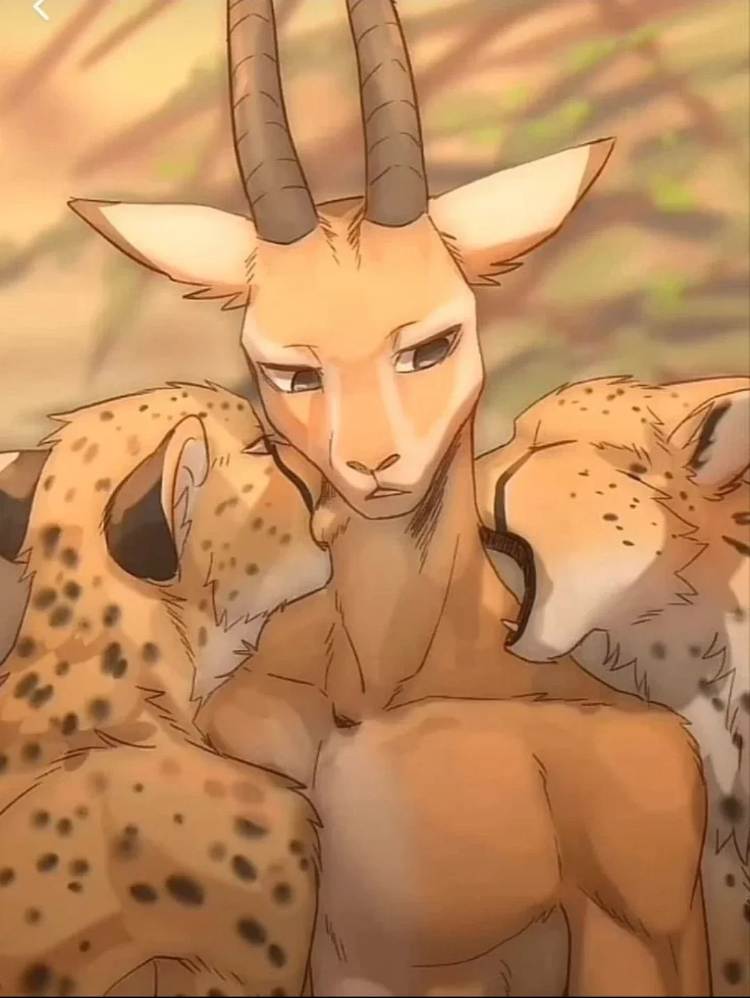 The Cheetah Bros(Tom and Toby)