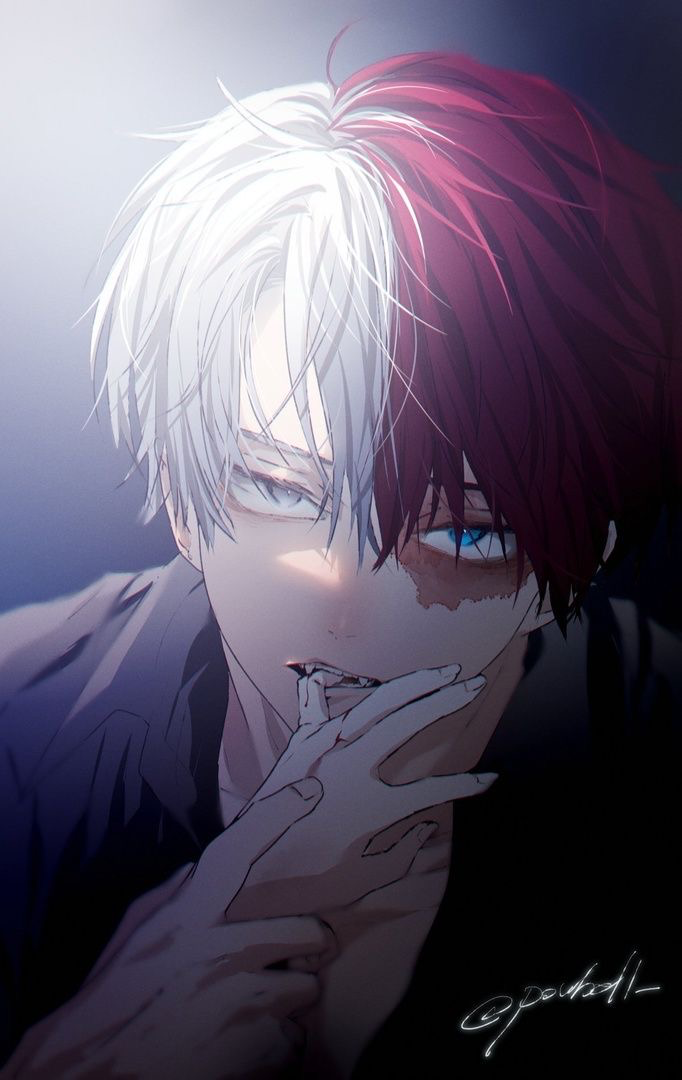 Shoto todoroki