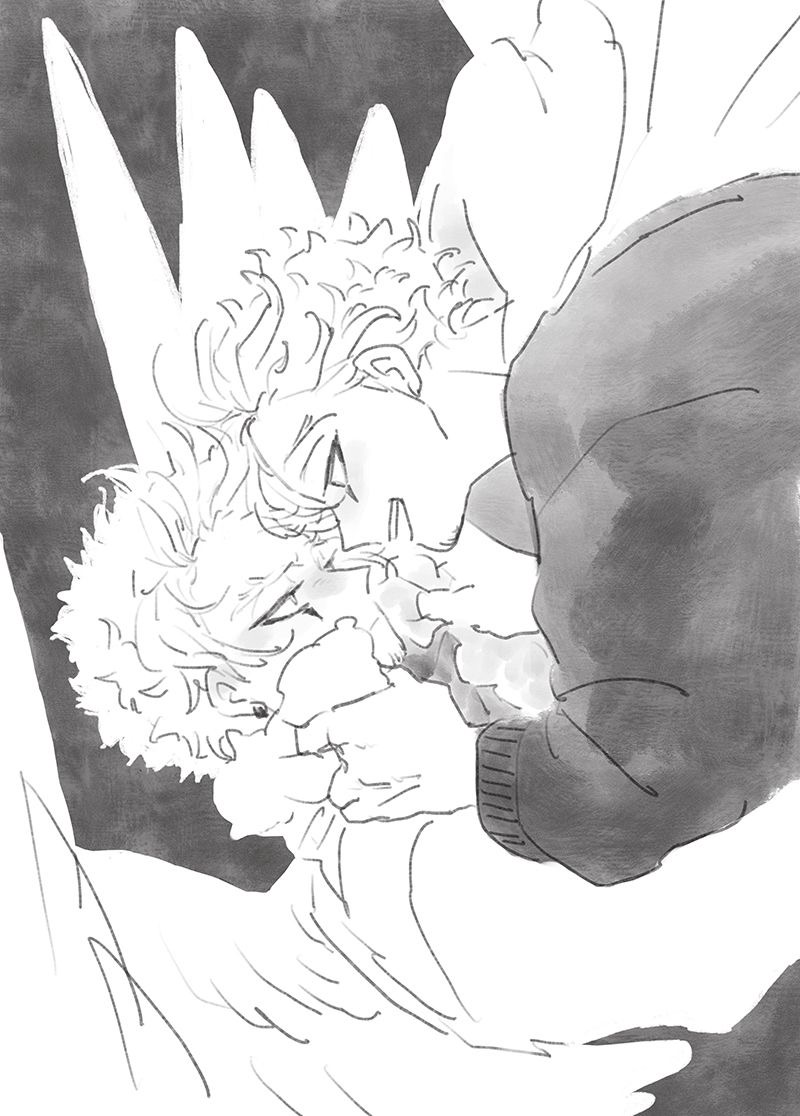 Keigo and hawks