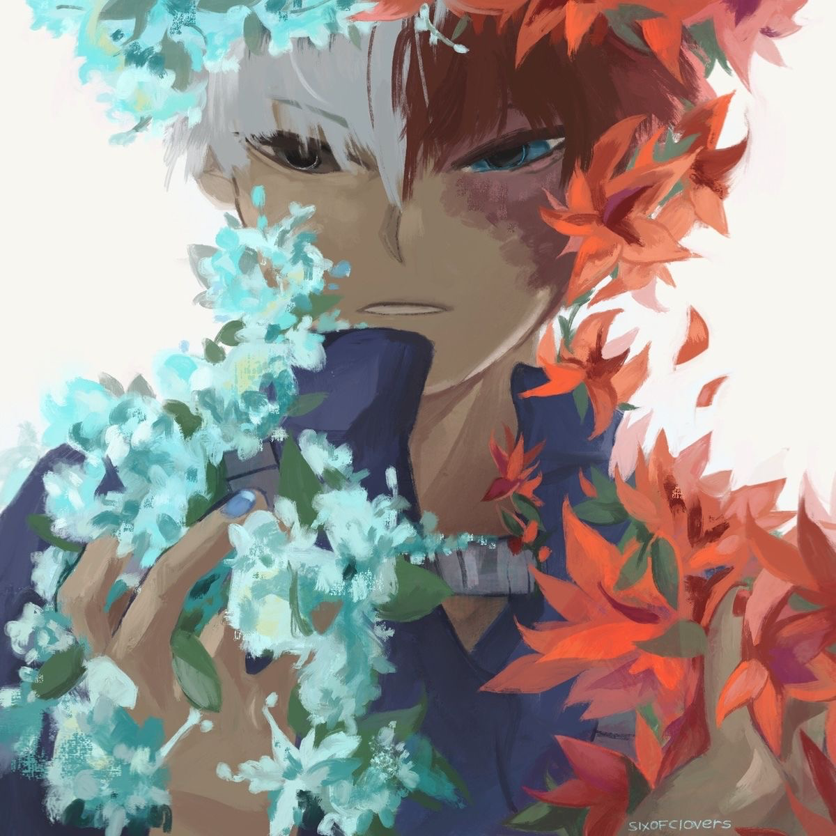 Shoto todoroki