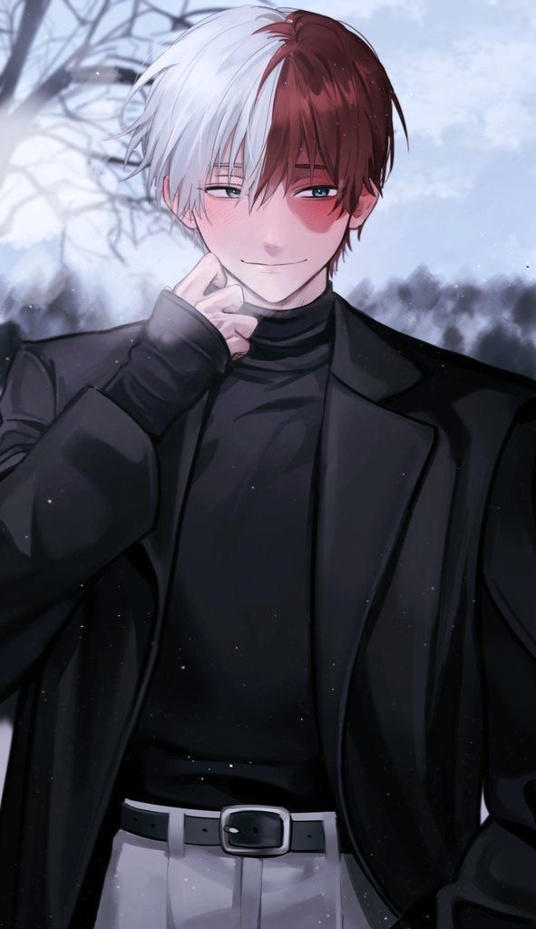 Shoto todoroki