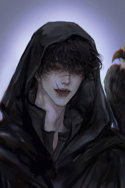 Shadow