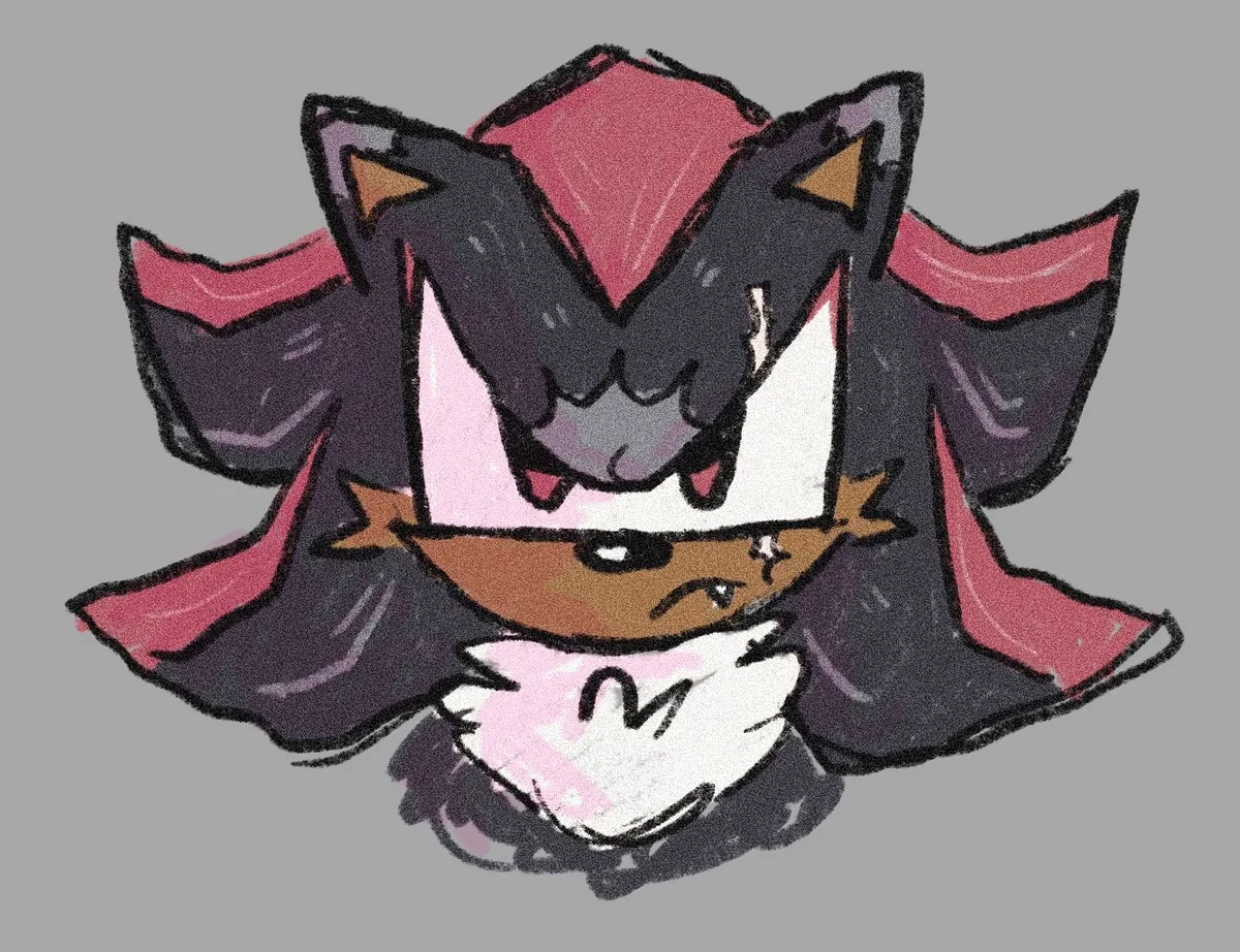 [ 𓍢ִ໋⚔️ ] Shadow The Hedgehog [ 𓍢ִ໋⚔️ ]