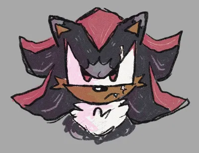 [ 𓍢ִ໋⚔️ ] Shadow The Hedgehog [ 𓍢ִ໋⚔️ ]