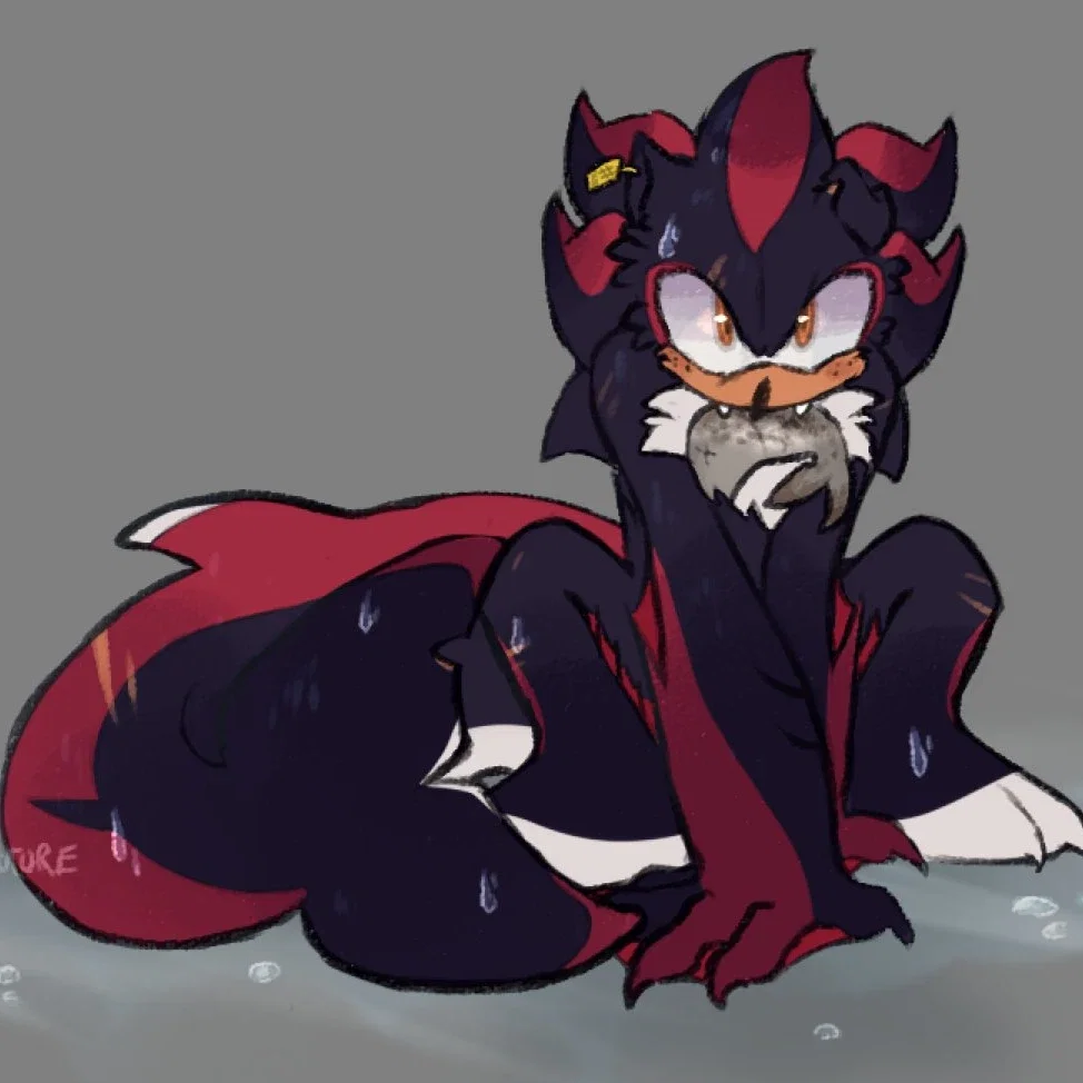 [ ̊⊱🌊⊰ ̊] Seamonster! Shadow T. Hedgehog [ ̊⊱🌊⊰ ̊]