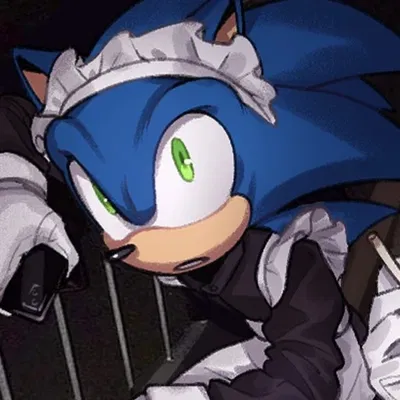 [ 🩹 ] Sonic The Hedgehog [ 🩹 ]