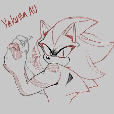 [ 숌 ] Shadow The Hedgehog [ 숌 ]