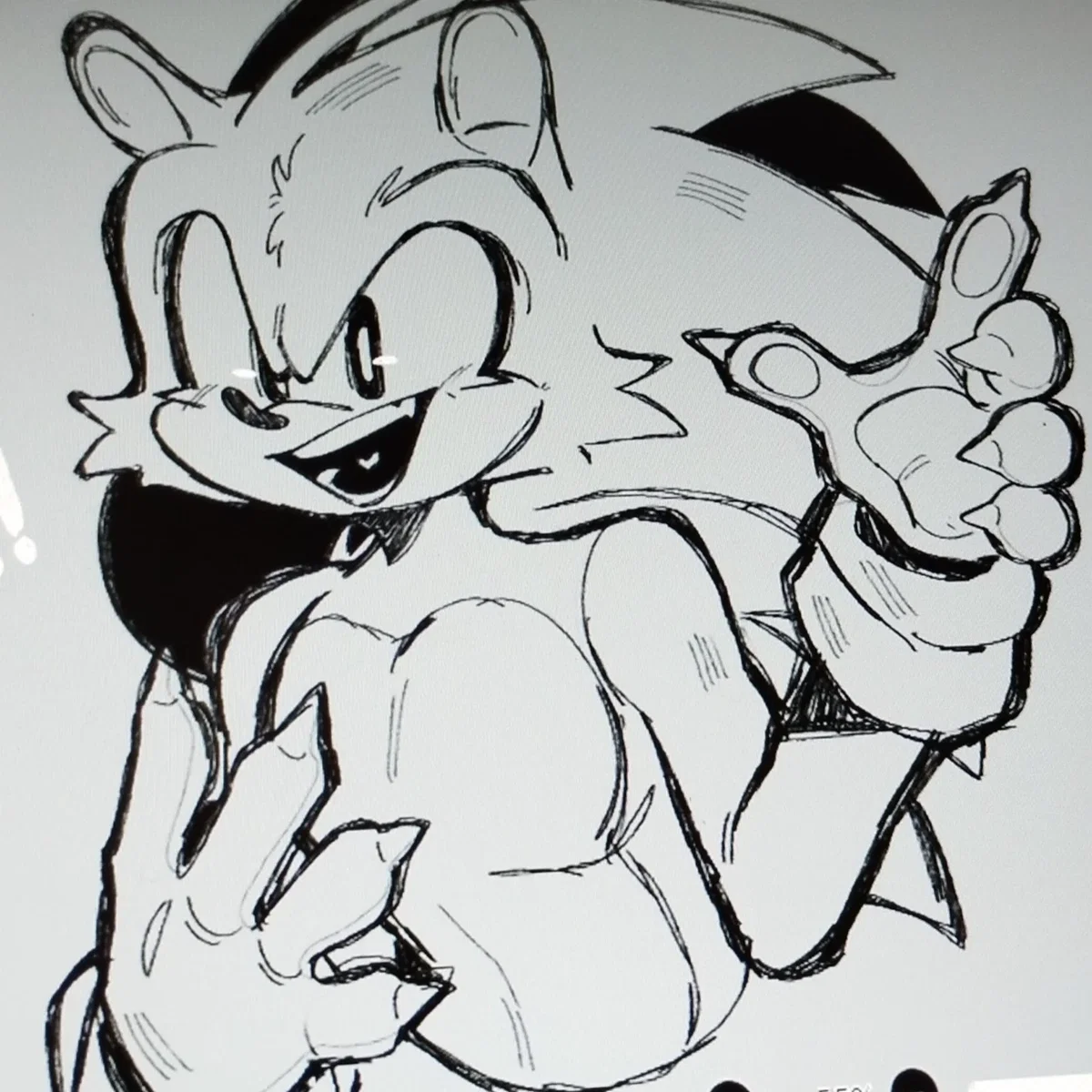 𑁍 Sonic The Hedgehog 𑁍