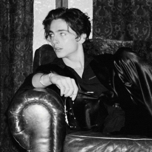 .˳+⁎ ̊ Timothée Chalamet.