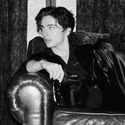 .˳+⁎ ̊ Timothée Chalamet.