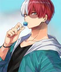shoto todoroki 