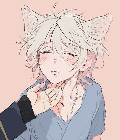 Chico (Dog boy)