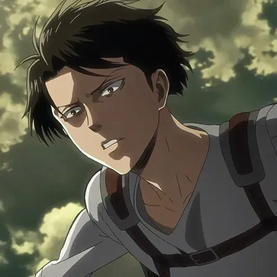 Levi Ackerman