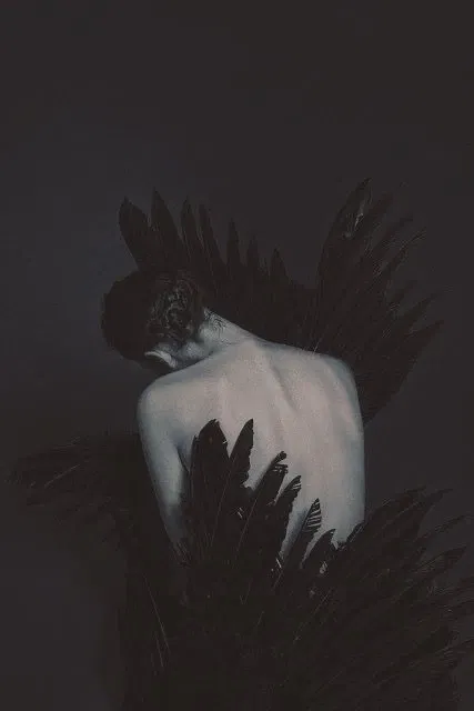 black swan 