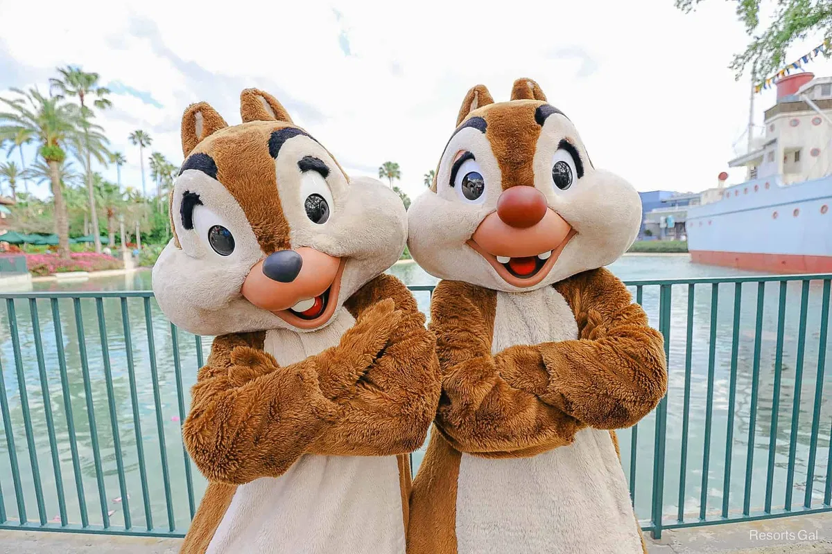 Chip 'n Dale (Mascot Characters)