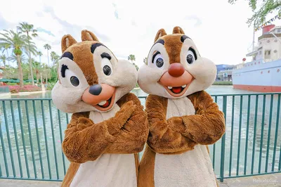 Chip 'n Dale (Mascot Characters)