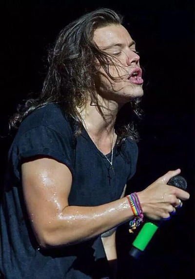 Harry Styles 