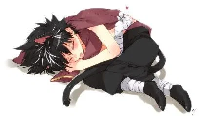 Catboys slaves
