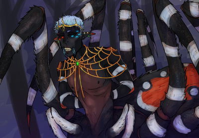 Sieben the spider