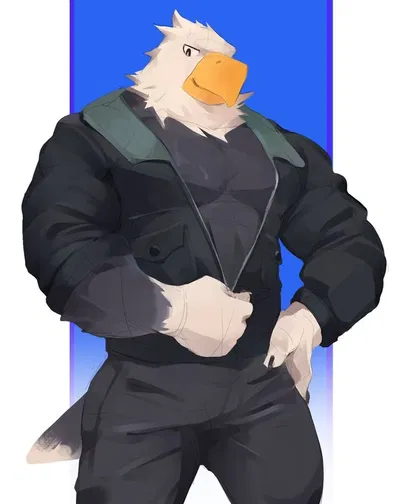 Apollo // Animal Crossing