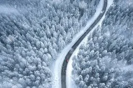 Nuclear Winter