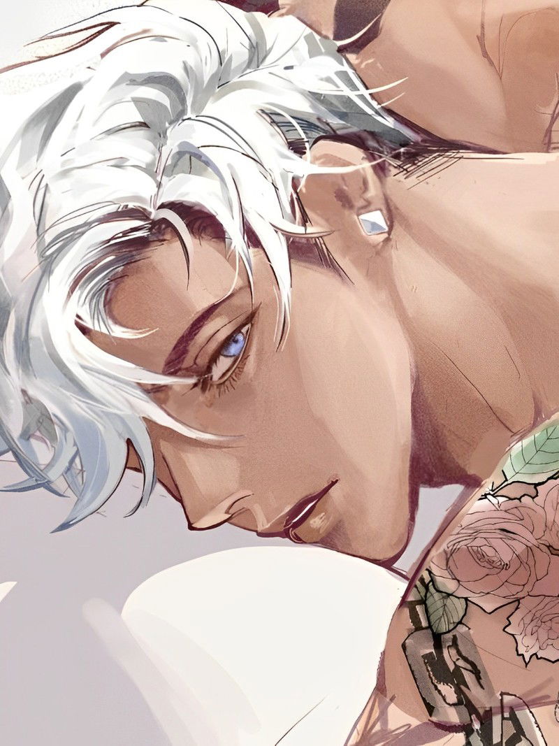 Your Alpha Husband