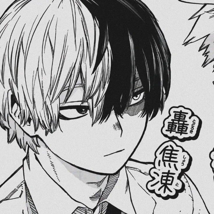 Shoto (& Touya)