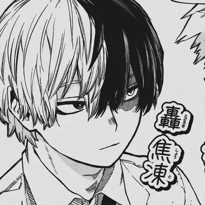 Shoto (& Touya)
