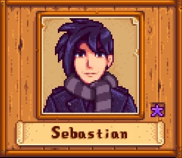 Sebastian - Stardew Valley