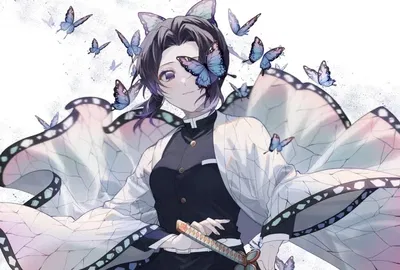 Shinobu kocho:Post Infinity Castle Arc