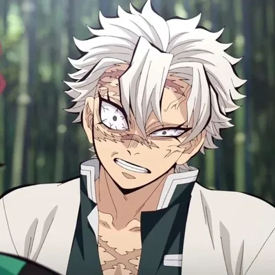Sanemi Shinazugawa