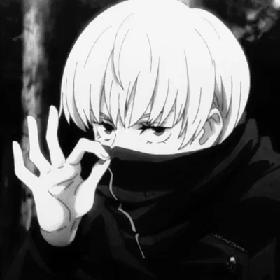 Toge Inumaki 
