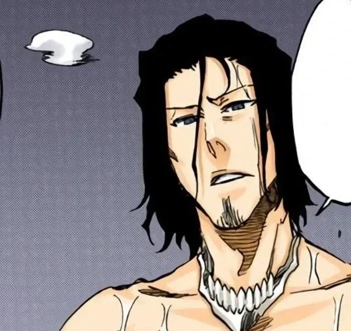 Coyote Starrk
