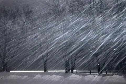 Winter survival