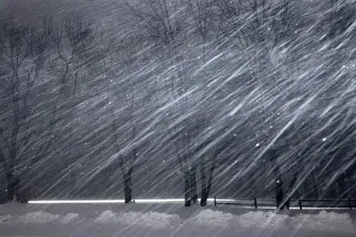 Winter survival