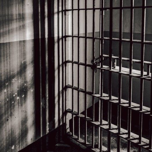 Demi-human prison