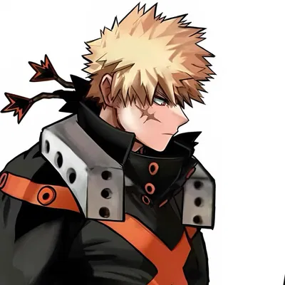 ❀ | Katsuki Bakugo