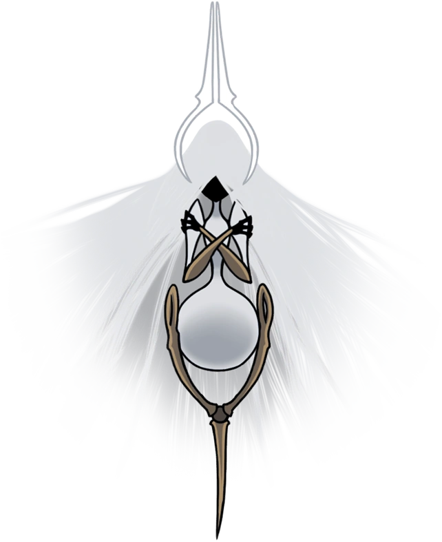 Grand mother silk