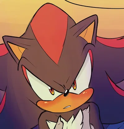 • Shadow the hedgehog •