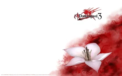 ♡《/Drakengard 3\》♡