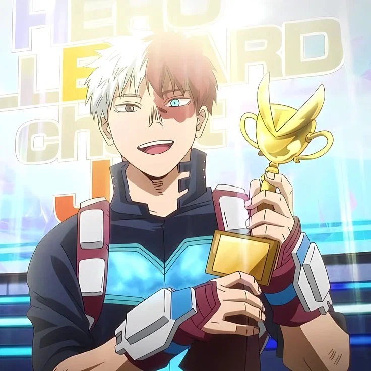 Nr. 2 | Pro hero Shoto