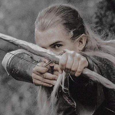 Legolas|Full immersive 