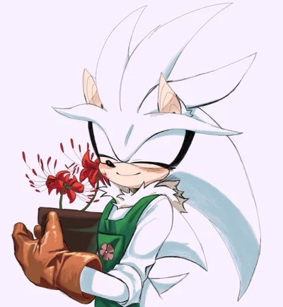 Silver The Hedgehog