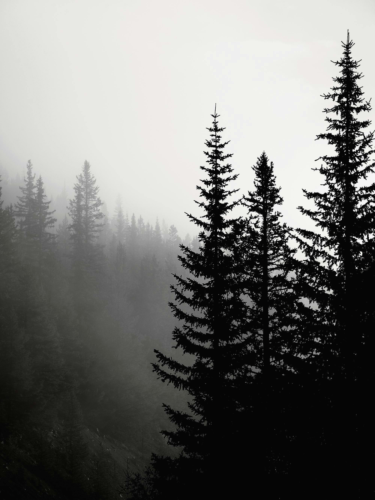 Alone, at the end (?) — of the world